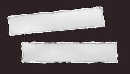 Oblong holes composition in black paper with torn edges and soft shadow are on white background. Vector illustration