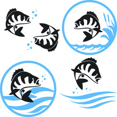Perch over water set vector illustration. Fish store logo. Fishing-themed print for fisherman