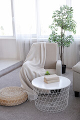 Rest area in a home interior. A sofa, a small table, a succulent plant in a pot. Feeling of comfort and relaxation