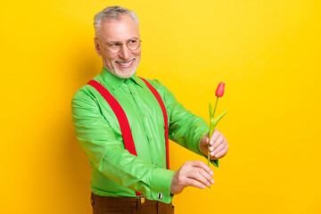 Photo of cute elder grey hairdo man give flower empty space wear spectacles green shirt isolated on yellow color background