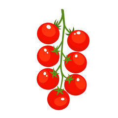 Vector colorful set of tomatoes cherry isolated on white.