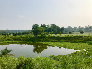 landscape with lake