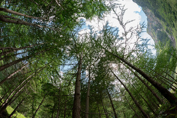 Rauriser Krumltal im Tal der Geier