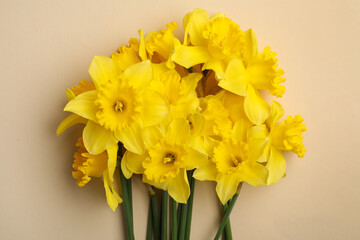 Beautiful daffodil bouquet on beige background, top view
