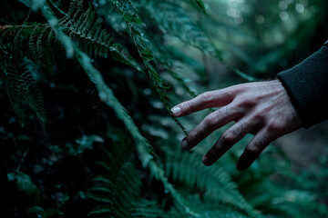 Hand, Nature