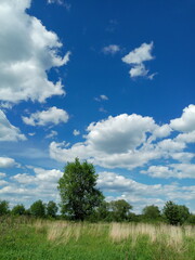 field and blue sky