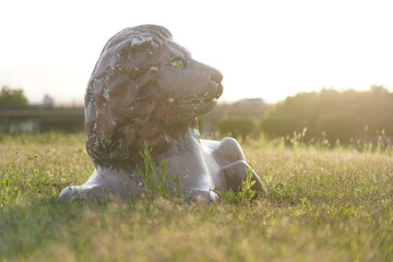 Lion in the park