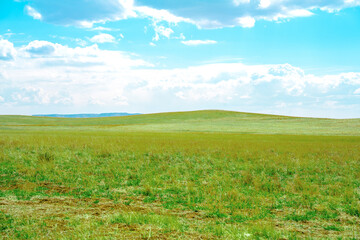 Fototapeta na wymiar Beautiful natural landscape with green meadow and blue sky