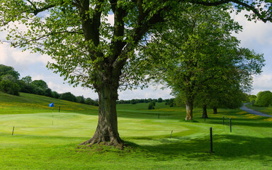 View across the Westwood open pasture and golf course in Beverley, UK.