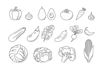 Outline vegetables set. Vector simple icons. Organic food.
