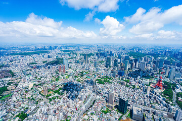 Fototapeta premium Tokyo