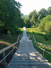 wooden bridge in the forest