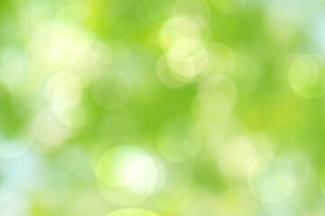 Abstract green background blur