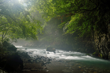 Obraz premium 円原の伏流水と光芒