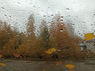 rain drops on the window