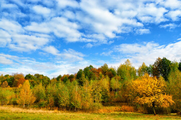 Naklejka premium Autumn landscape with bright blue sky and colored forest.