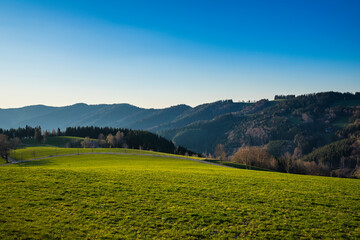 Germany, Schwarzwald green pasture panorama surrounded by endless forest of conifer trees and untouched nature at sunset