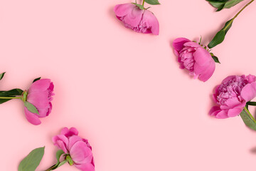Frame made of peony flowers on a pink pastel background. Floral composition with place for text.