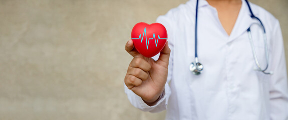 Professional doctor holding red heart shape with blue cardiogram signal in sideways. Health-care...