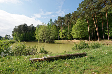 Frankreich - Écleux - Dorfweiher