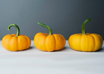 Pumpkin lined up
