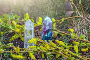 Magic still life with Gemstones fluorite crystal on nature background. Rocks for mystic ritual, witchcraft Wiccan or spiritual healing on stump in forest. Ritual for love. Meditation reiki