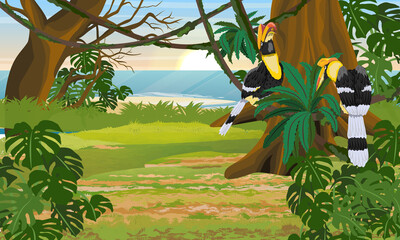 A pair of Great hornbill Buceros bicornis sits in the branches of a tropical tree. Tropical bird great Indian hornbill. Jungle with lianas, palms, epiphytic fern and tropical plants. Realistic vector  - obrazy, fototapety, plakaty