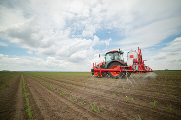Obraz premium Tractor spraying pesticides at corn fields