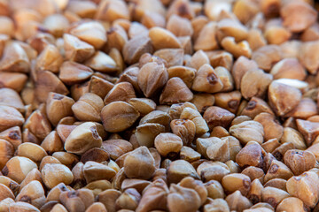 Raw buckwheat grains on a wooden surface in soft focus at high magnification. Background with healthy crops.