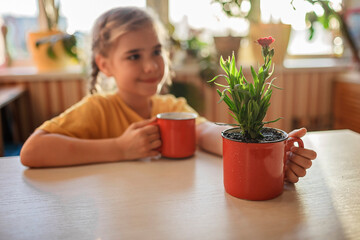 Preteen girl drinking coffee and enjoying green blooming flower replanted in usual red mug, home floral decor, home gardening and slow living concept, potted green plants at home