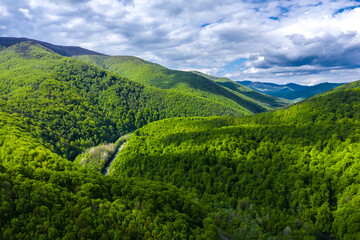 Carpathian mountains covered with beautiful green trees aerial panorama view.