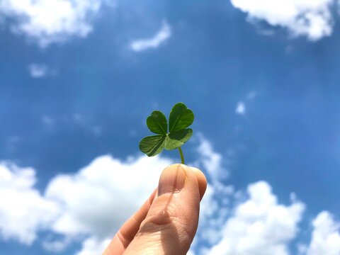 Saint Patrick&rsquo;s day. Portafortuna. Quadrifoglio magico