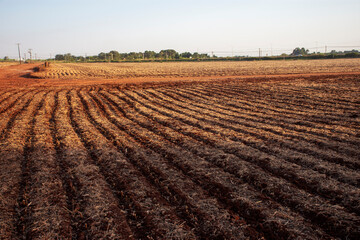 plowed field ready for planting