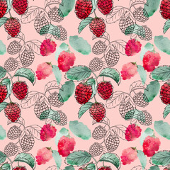 Watercolor seamless pattern with raspberries on a sprig, berry pattern on a pink background. Botanical illustration for fabrics, packaging, garden, decoration.
