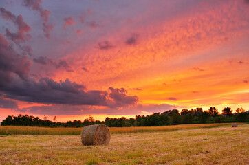 Hay bale field in colorful sunset - 435855389