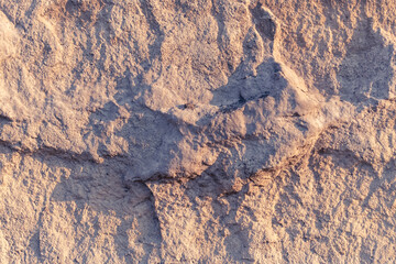 the texture of a light stone