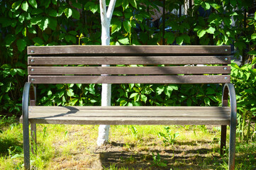 Naklejka premium Wooden bench in the park. Bench in the yard of the house
