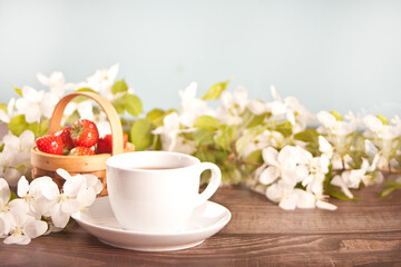 Cup of tea with white apple blossoms. Spring concept.