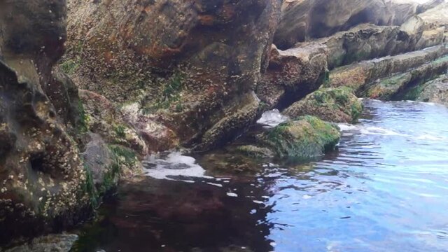 water waves in the sae coast