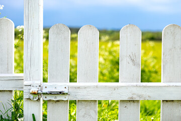 A wooden fence painted white in a rural garden, in the background a field of flowers and a blue sky.