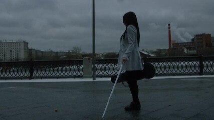 a beautiful love story of a millionaire and a blind girl