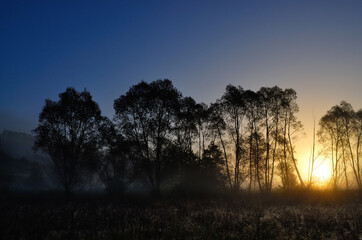 Naklejka premium Sunrise in a foggy morning.