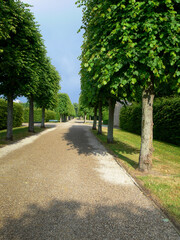 An avenue, idyllic landscapes planted by humans