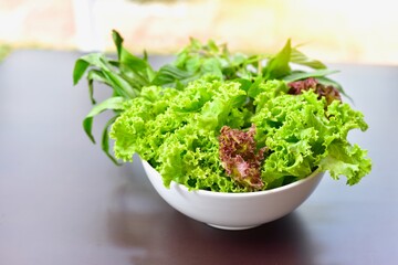 Bowl of Fresh Organic Vegetables Isolated on Table 