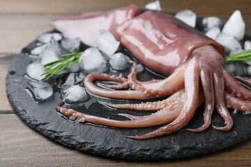 Fresh raw squid with ice and rosemary on wooden table, closeup