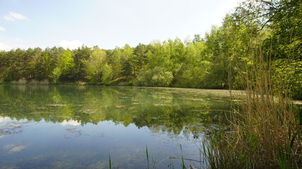 Fototapeta na wymiar Natur See mit grüner landschaft