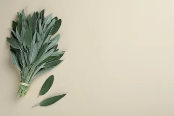 Fotobehang Bunch of fresh sage on light background, flat lay. Space for text © New Africa