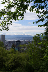 Zurich skyline at springtime with Lake Zurich and Swiss alps in the background. Photo taken May 26th, 2021, Zurich, Switzerland.