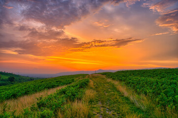Fototapeta na wymiar Summer sunset in Romania