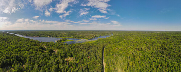 Aerial bird's eye view drone panorama of green boreal coniferous forest, fresh water lakes and rivers and unpaved road winding trough the trees. Summer sunny day, blue sky. Northern Ontario, Canada.